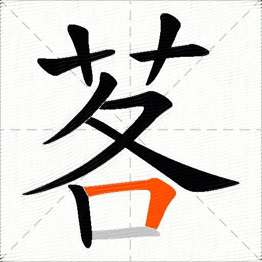 茖