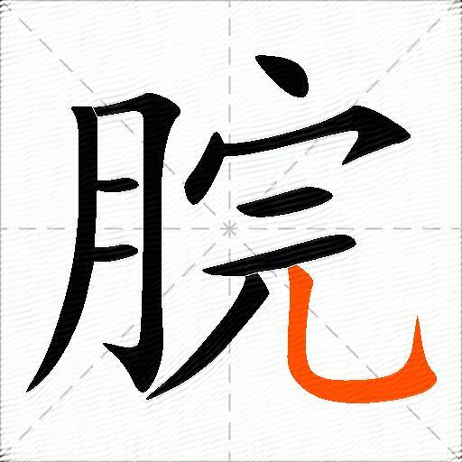 脘