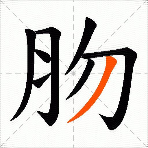 肳