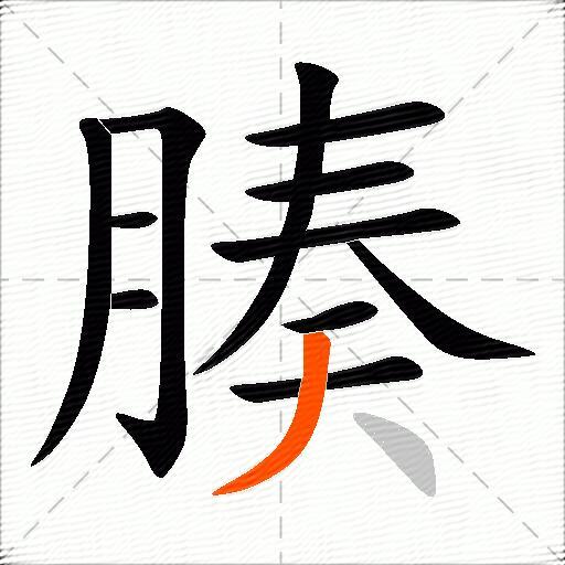 腠