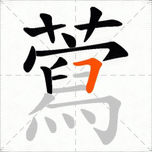 藛