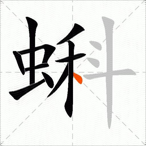 蝌