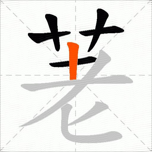 荖