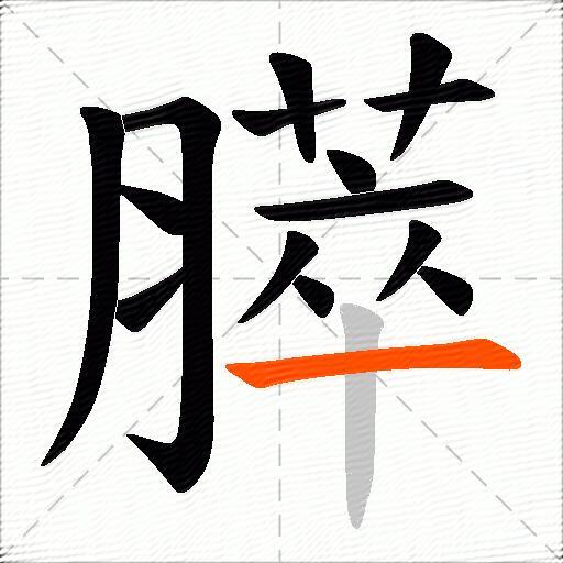 膵