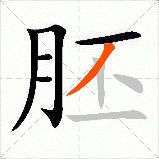 胚