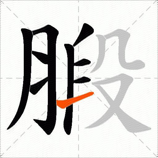 腶