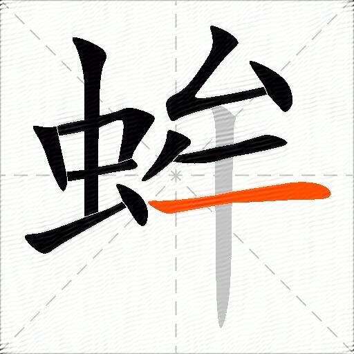 蛑