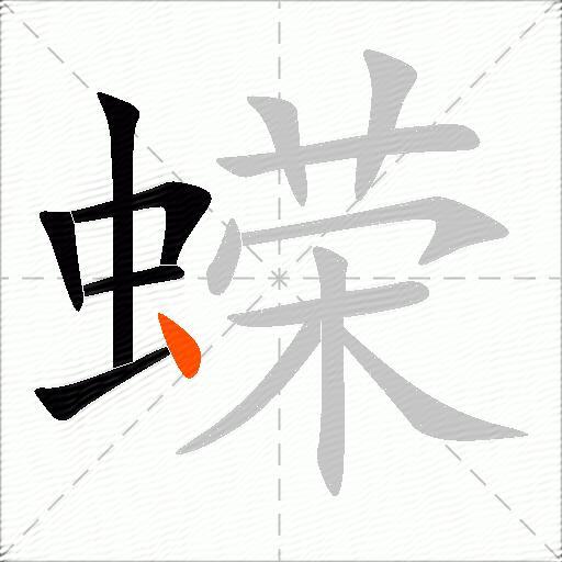 蝾
