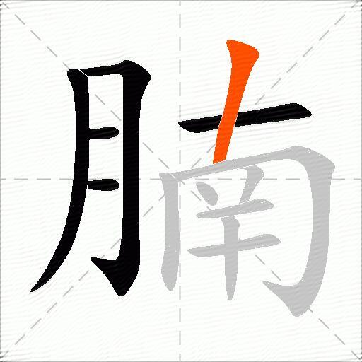 腩