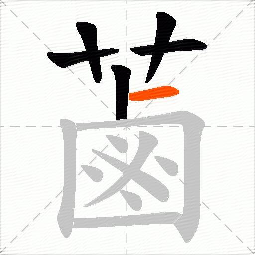蓾