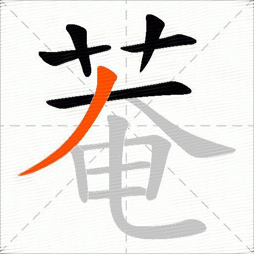 菴