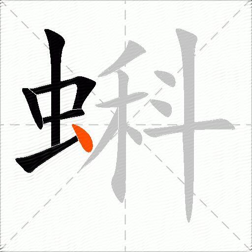 蝌