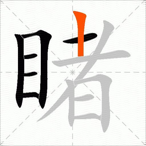 睹