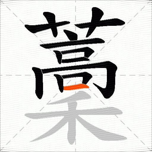 藳