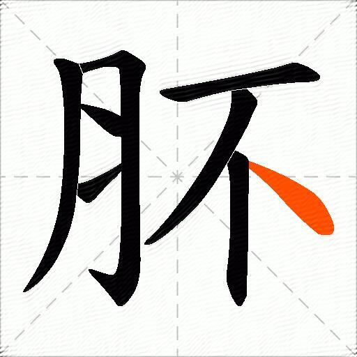 肧