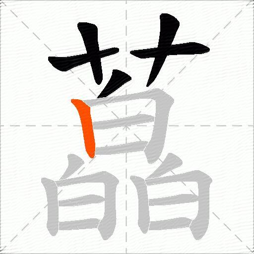 藠
