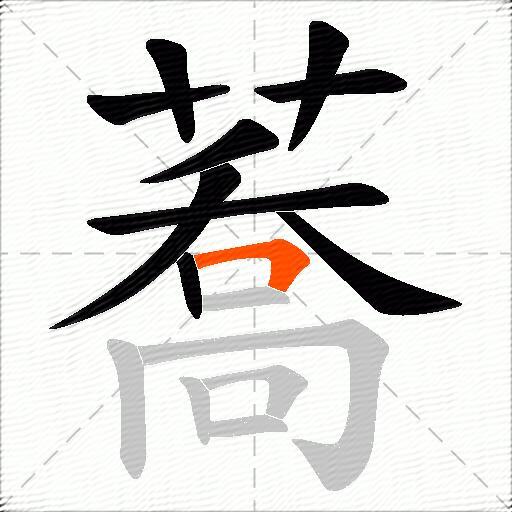 蕎