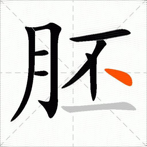 胚