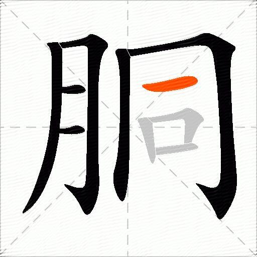 胴
