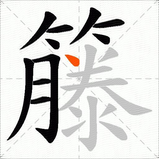 籐