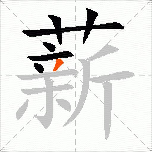 薪