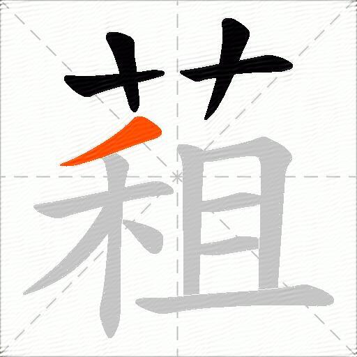 蒩