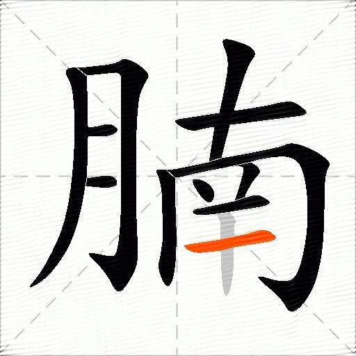 腩