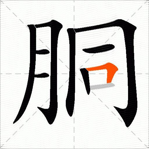 胴