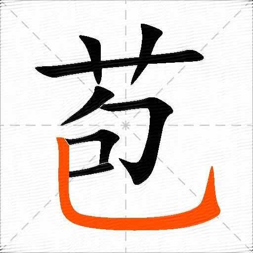 苞