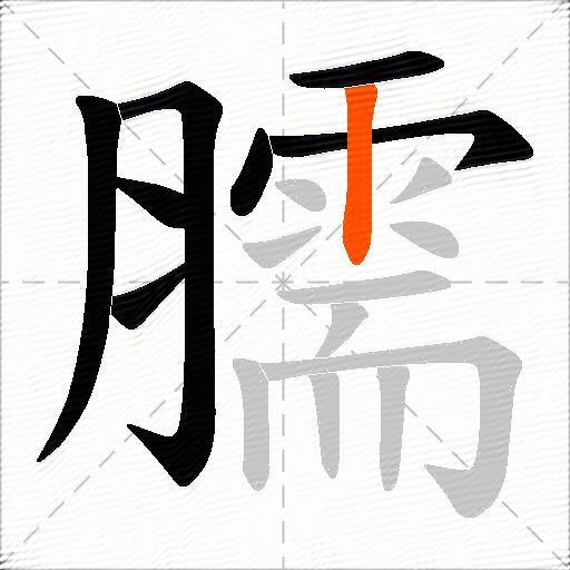 臑