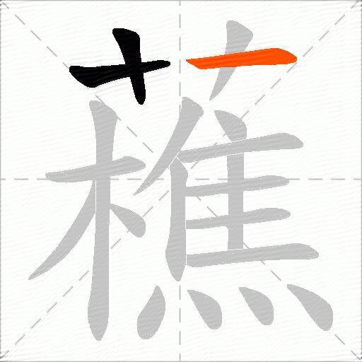 藮
