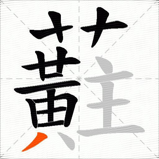 蘣