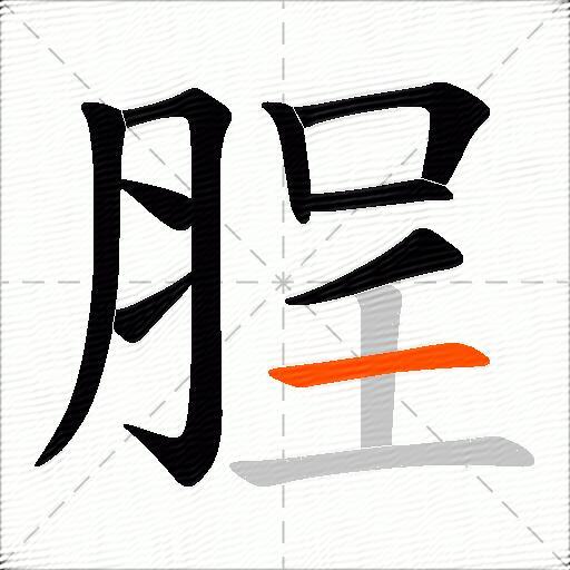 脭