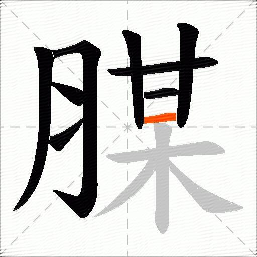 腜