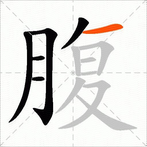 腹
