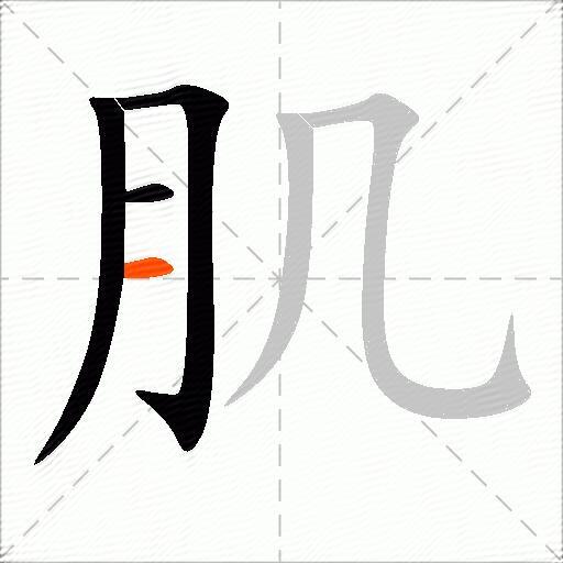 肌