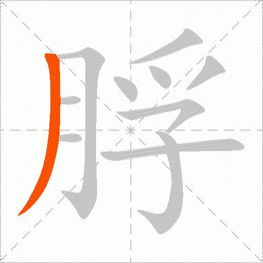脬