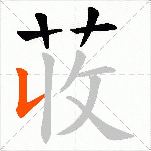 荍