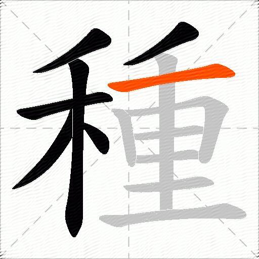 種