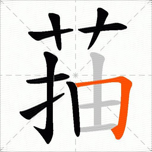 菗