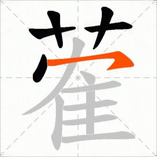 蒮