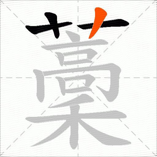 藳