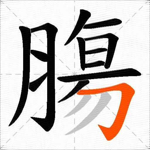 膓