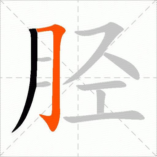 胫