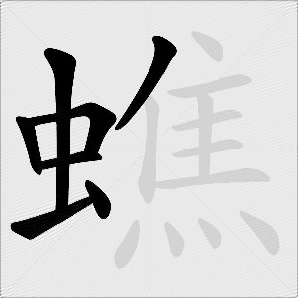 蟭