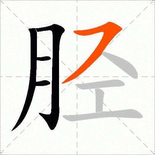 胫