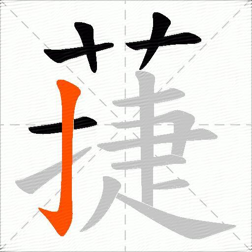 蓵