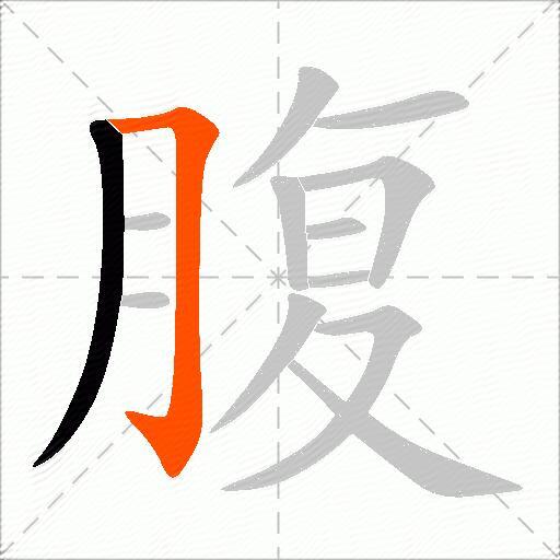 腹