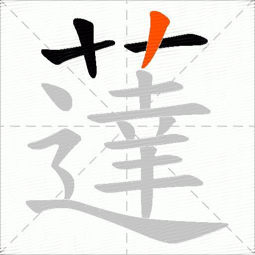 薘