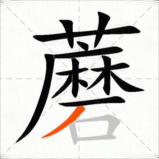 蘑